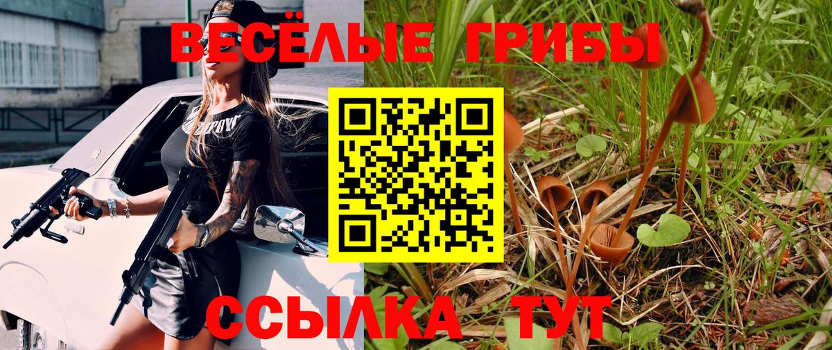 Галлюциногенные грибы Magic Shrooms Димитровград