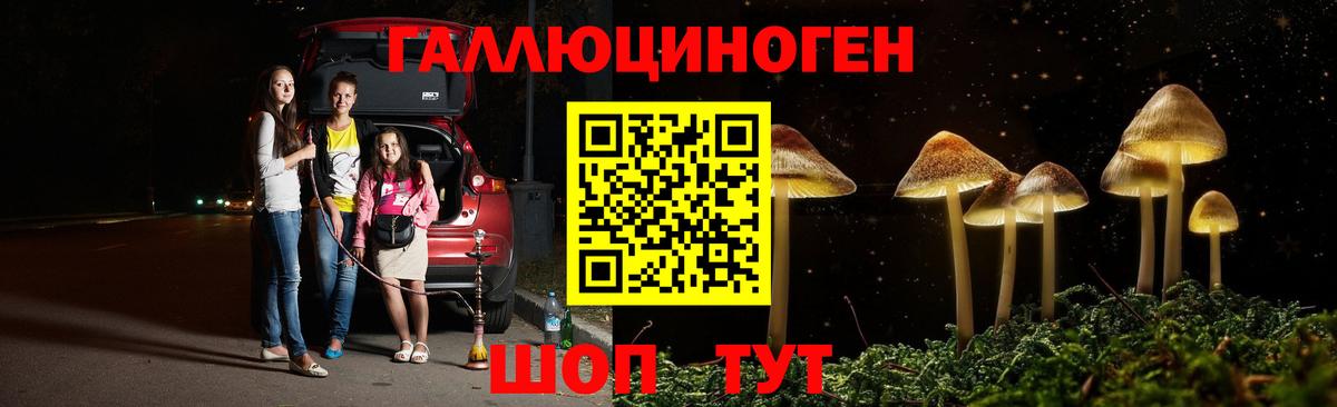 Димитровград  Галлюциногенные грибы MAGIC MUSHROOMS  Вход с VPN  Галлюциногенные грибы ЛСД 